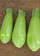 Kumsal