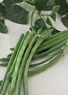 Karagz