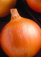 Akyol