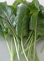 Sarma