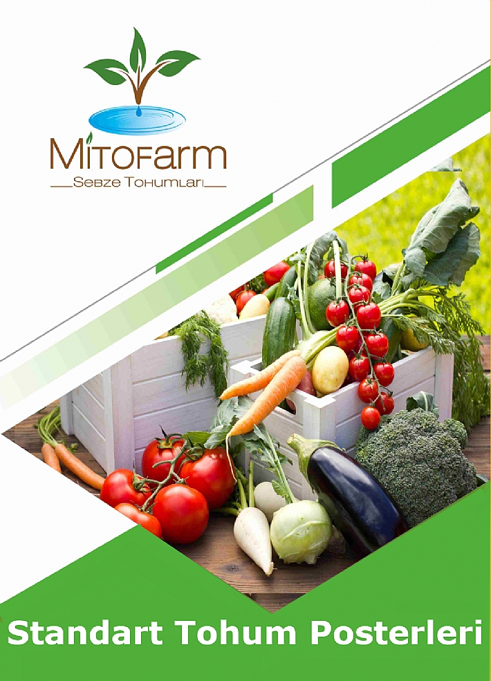 Standart Tohum Posterleri